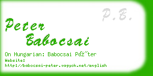 peter babocsai business card